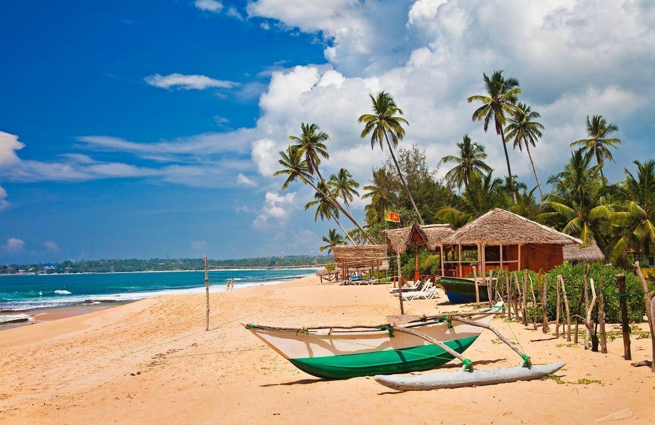 Горящие туры, из Регионов - — 30% на Горящий тур из Москвы на Шри-Ланку на 7 ночей за 29900 рублей с человека — New Wadduwa Beach Resort!