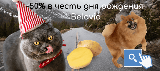 Новости -50% в честь дня рождения Belavia