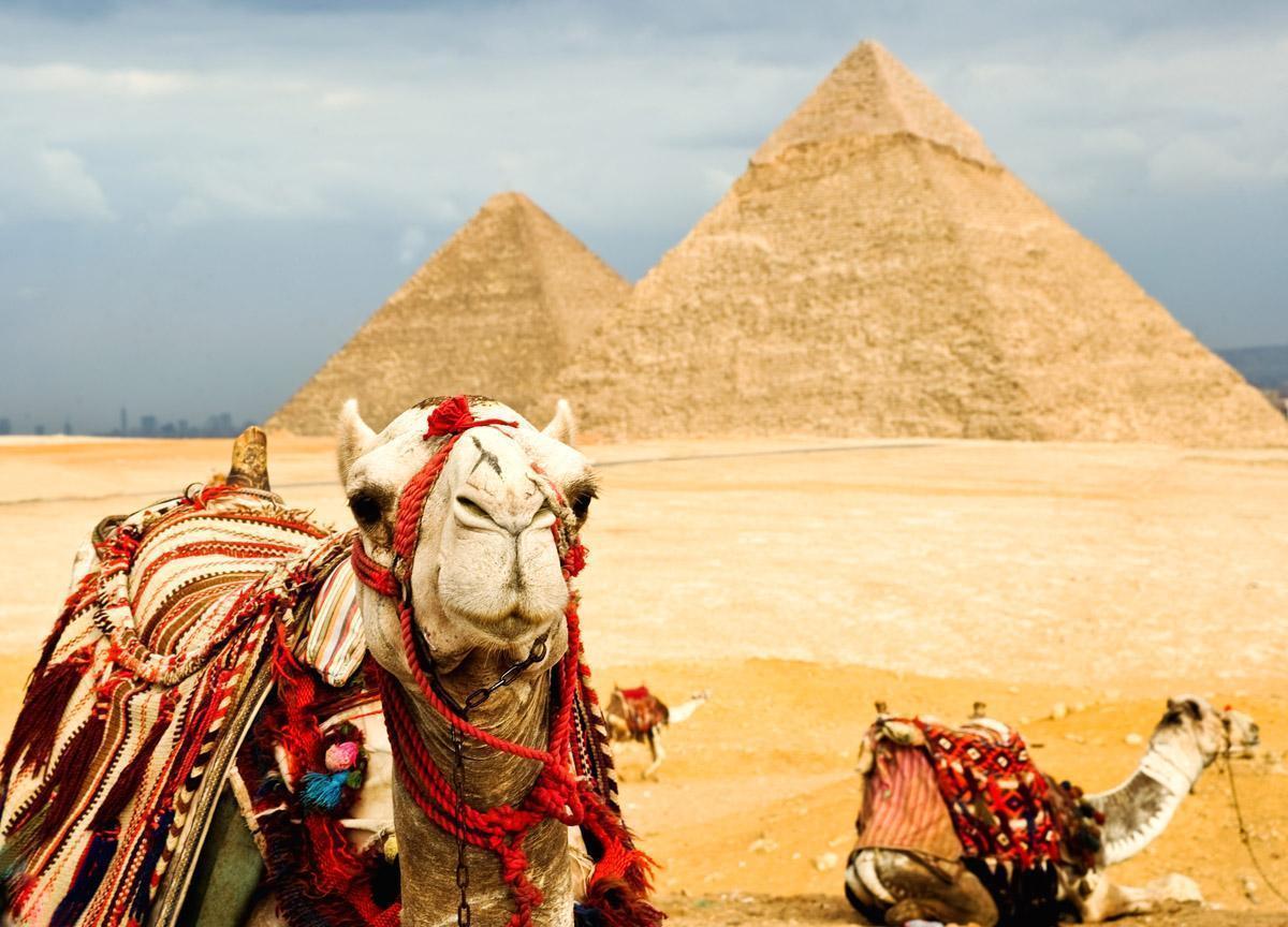 Новости -25% на тур в Египет из Москвы , 7 ночей за 21250 руб. с человека — New Badawia Resort!