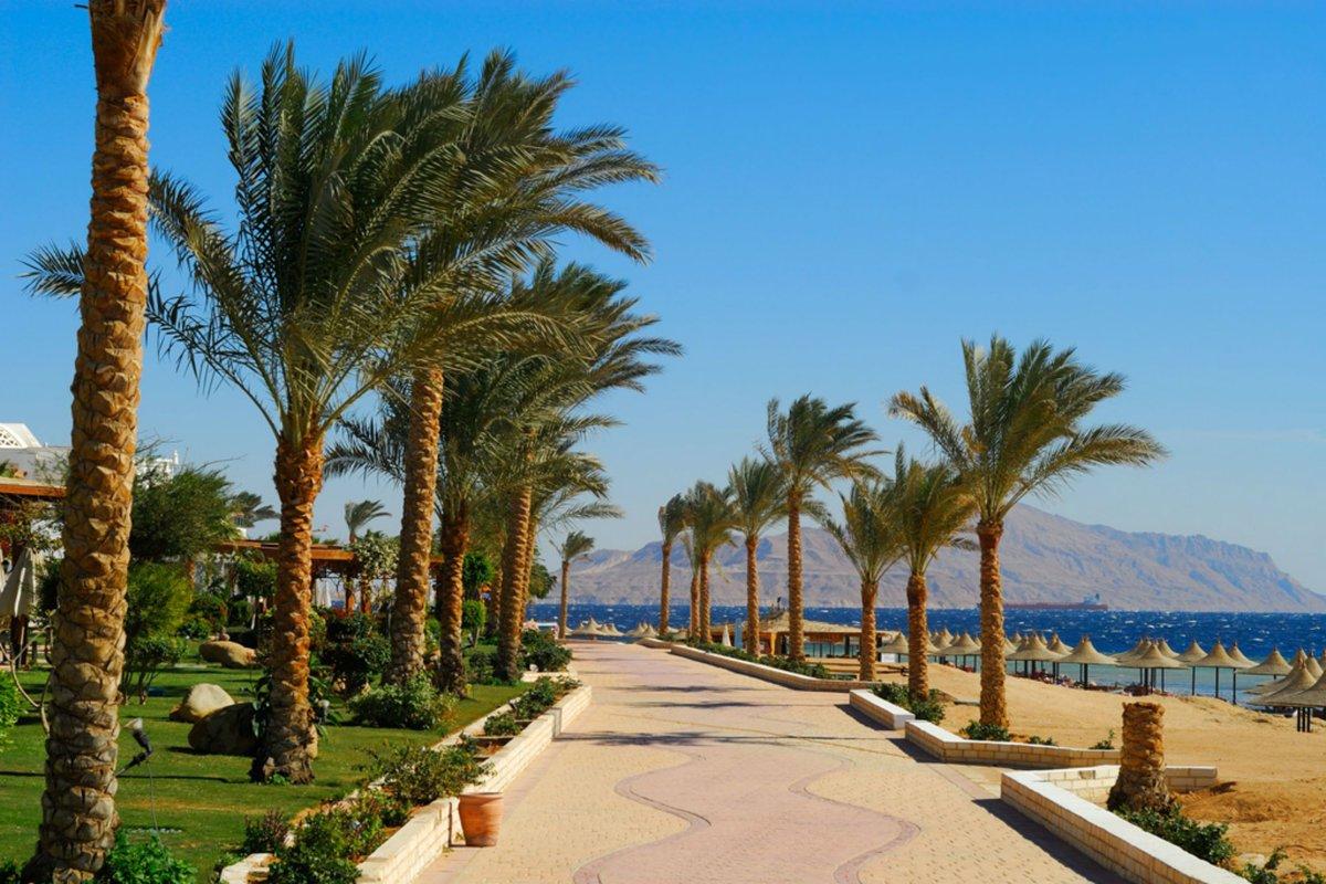 Горящие туры, из Регионов -40% на тур в Египет из Самары, 6 ночей за 21780 руб. с человека — Sharm Inn Amarein!