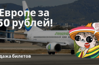 Новости - Распродажа Transavia: полеты по Европе за 1550 рублей!