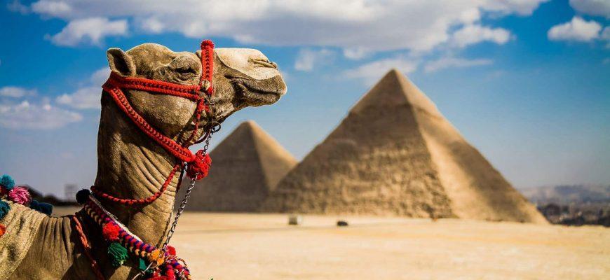 Горящие туры, из Санкт-Петербурга -46% на тур в Египет из СПб, 15 ночей за 41 996 рублей с человека — Sharm Inn Amarein!