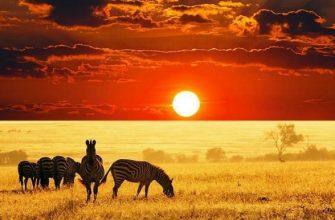 Новости - Ради чего нужно съездить в Кению