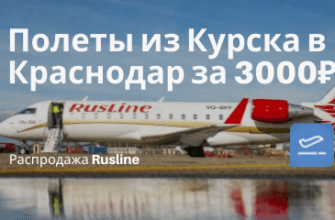 Билеты из..., Санкт-Петербурга - Rusline: дешевые рейсы из Курска в Краснодар за 3000₽ туда-обратно в январе
