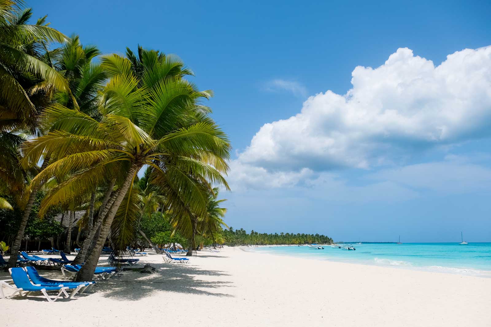 8 kohta, mida ei tohi vahele jätta Punta Canas, Dominikaani Vabariigis