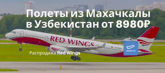 Новости - В Узбекистан из Махачкалы от 8980₽ в одну сторону. Летим с Red Wings