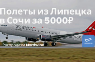 Новости - На лето для Липецка: с Nordwind в Сочи за 5000₽ туда-обратно