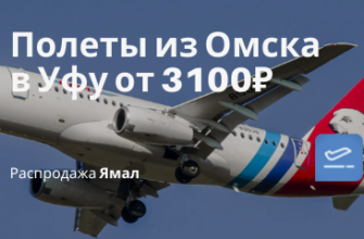 Горящие туры, Египет, из Москвы - На майские: прямые рейсы из Омска в Уфу или наоборот от 3100₽ туда-обратно