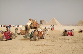 Новости - Тур в Египет из Москвы, 8 ночей за 50 369 руб. с человека — Hotelux Marina Beach Hurghada