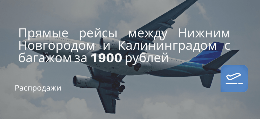 Новости - Прямые рейсы между Нижним Новгородом и Калининградом с багажом за 1900 рублей