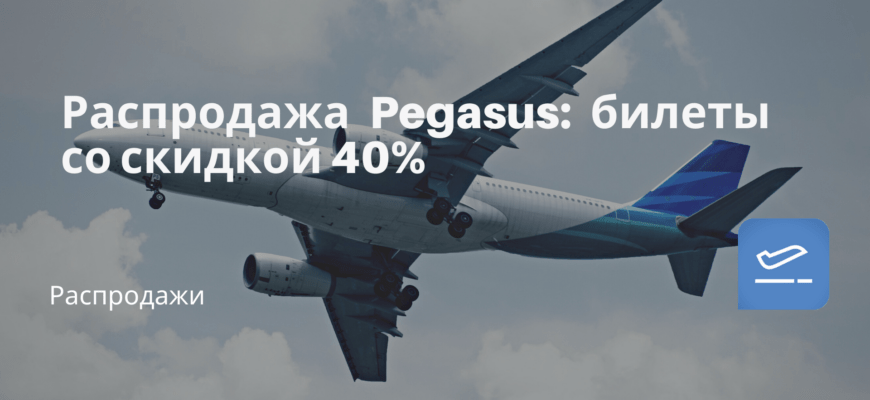 Новости - Распродажа Pegasus: билеты со скидкой 40%