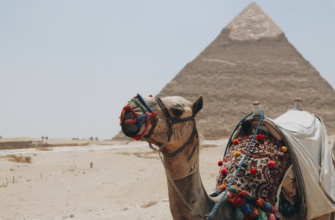 Личный опыт -44% на тур в Египет из Москвы, 7 ночей за 49 788 руб. с человека — Desert View Hotel Sharm