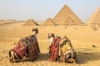 Новости -41% на тур в Египет из Москвы, 8 ночей за 63 189 руб. с человека — Desert View Hotel Sharm