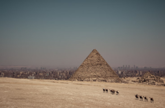 Новости -24% на тур в Египет из Москвы, 8 ночей за 47 255 руб. с человека — Sharm Inn Amarein