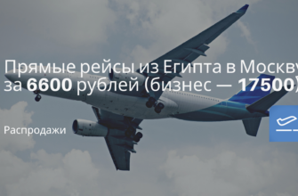 Горящие туры, из Регионов - Прямые рейсы из Египта в Москву за 6600 рублей (бизнес — 17500)