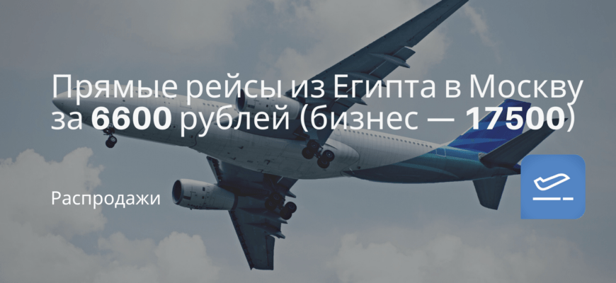 Новости - Прямые рейсы из Египта в Москву за 6600 рублей (бизнес — 17500)