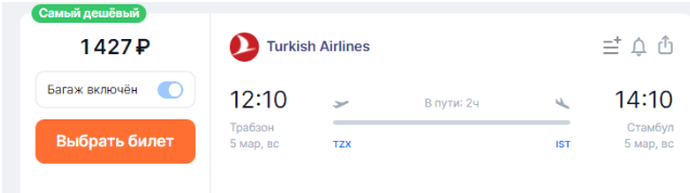 Turkish Airlines: полёты по Турции с багажом за 900 рублей