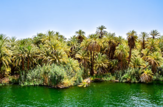 Горящие туры, из Регионов -37% на тур в Египет из СПБ, 7 ночей за 52 304 руб. с человека — Sharm Holiday Resort