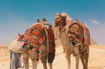 Горящие туры, из Регионов -28% на тур в Египет из СПБ, 8 ночей за 39 795 руб. с человека — Happy Life Village