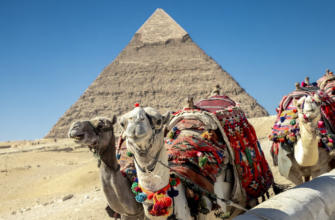Горящие туры, из Санкт-Петербурга -36% на тур в Египет из СПб, 7 ночей за 65 679 руб. с человека — На Новый Год