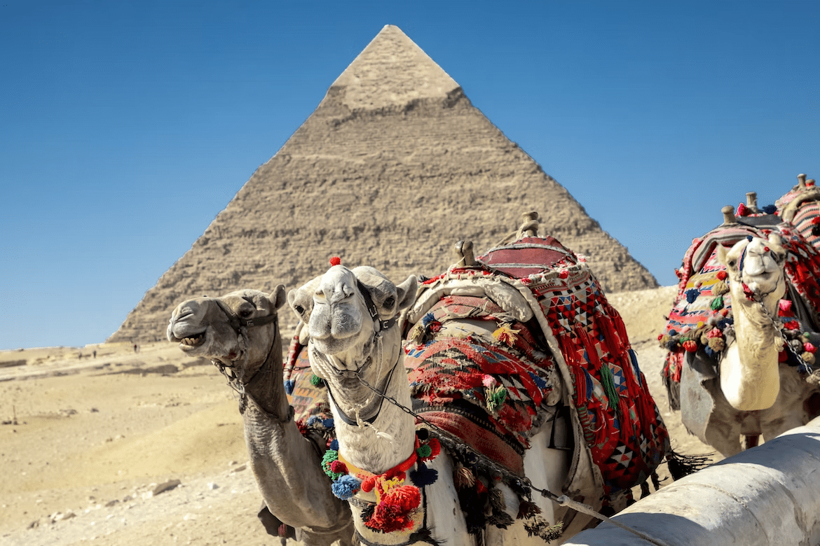 Горящий тур в Египет из Нижнего Новгорода. Праздники в египте 2024