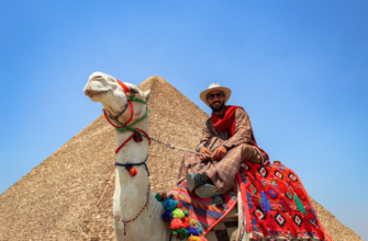 Новости -20% на тур в Египет из Москвы, 7 ночей за 76 624 руб. с человека — На Новый Год