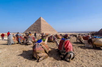 Новости -42% на тур в Египет из Москвы, 7 ночей за 34 256 руб. с человека — Sharm Inn Amarein