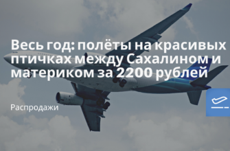 Горящие туры, из Москвы - Весь год: полёты на красивых птичках между Сахалином и материком за 2200 рублей