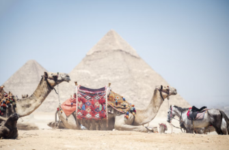 Горящие туры, из Москвы -21% на тур в Египет из СПб, на 8 ночей за 74 221 руб. с человека — Pharaoh Azur Resort (Ex.Sonesta Pharaoh Beach Resort)