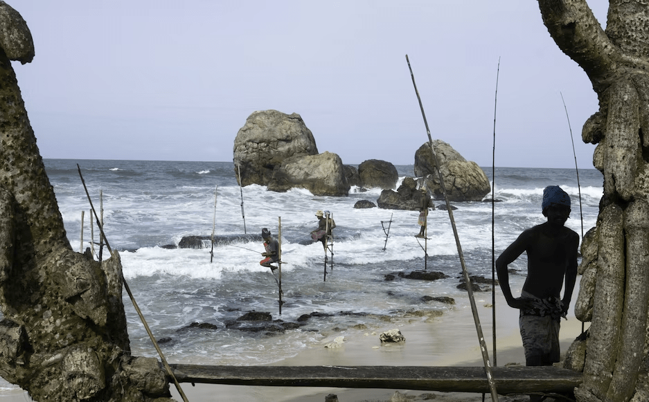 Шри ланка из новосибирска горящие. Рыбалка на Шри Ланке. Экскурсии в Шри Ланке рыбалка. Шри Ланка экскурсии 2023. Вс Шри Ланки.