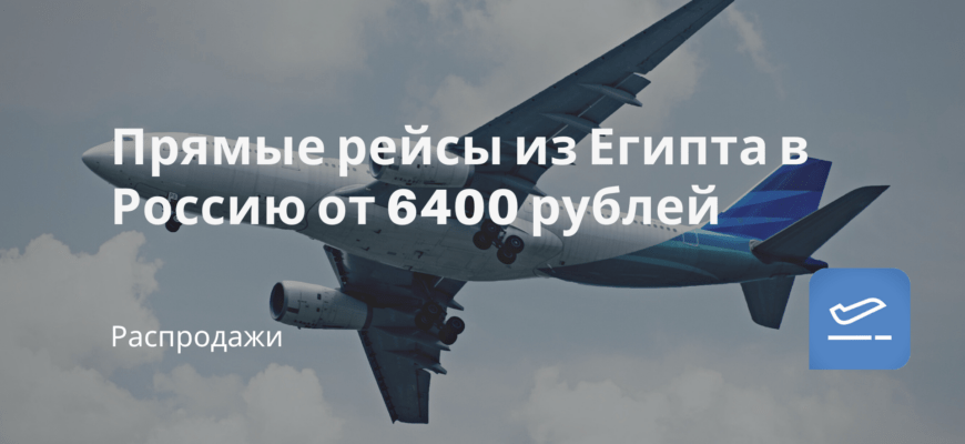 Новости - Прямые рейсы из Египта в Россию от 6400 рублей