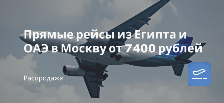 Новости - Прямые рейсы из Египта и ОАЭ в Москву от 7400 рублей