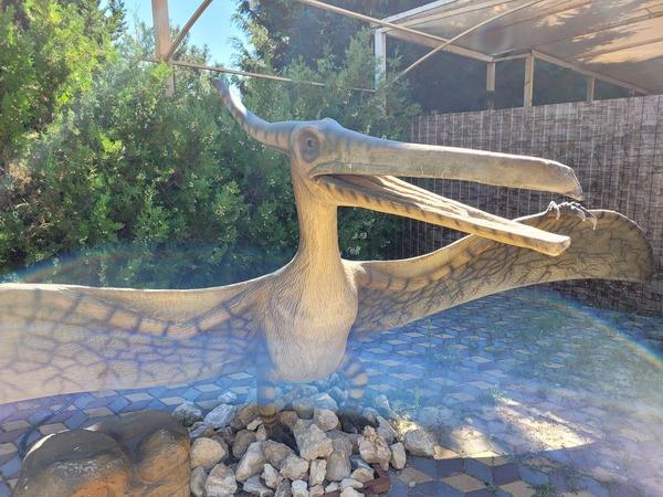 Парк динозавров в Севастополе: перенеситесь ненадолго в фантастический мир