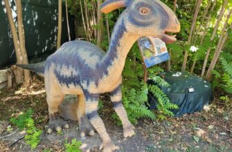 Новости - Парк динозавров в Севастополе: перенеситесь ненадолго в фантастический мир