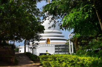 Новости -22% на тур в Шри-Ланку из СПб, 7 ночей за 99 188 руб. с человека — White Villa