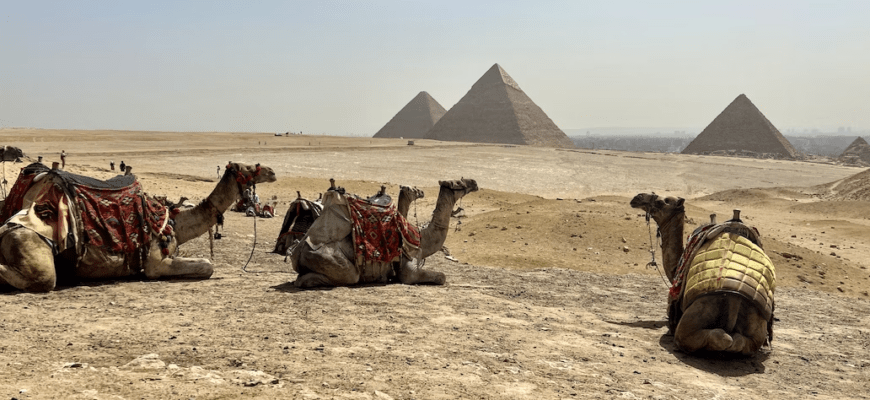 Горящие туры, из Регионов - Топ 5 предложений в лучшие отели Египта из Регионов!