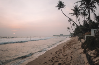Горящие туры, из Регионов -15% на тур в Шри-Ланку из СПб, 9 ночей за 142 472 руб. с человека — Coco Royal Beach Resort