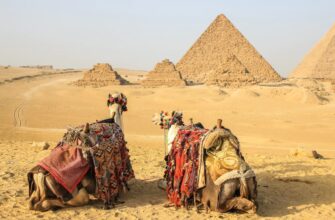 Новости - Тур в Египет из СПб, 9 ночей за 44536 руб. с человека - Pyramids Hotel!