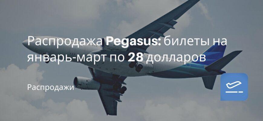 Новости - Распродажа Pegasus: билеты на январь-март по 28 долларов