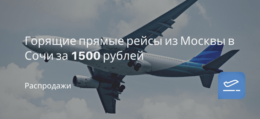 Новости - Горящие прямые рейсы из Москвы в Сочи за 1500 рублей