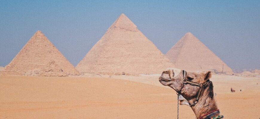 Горящие туры, из Москвы - Тур в Египет из Москвы, 14 ночей за 45622 руб. с человека - Pyramids Hotel!