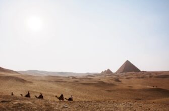 Горящие туры, из Москвы - Тур в Египет из СПб, 14 ночей за 48038 руб. с человека - Pyramids Hotel!