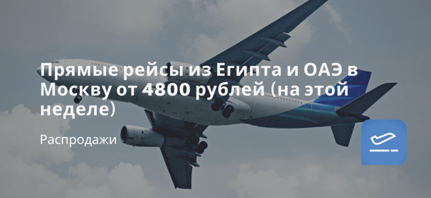 Новости - Прямые рейсы из Египта и ОАЭ в Москву от 4800 рублей (на этой неделе)