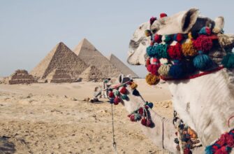 Горящие туры, из Регионов - Тур в Египет из СПб, 7 ночей за 45926 руб. с человека - Pyramids Hotel!