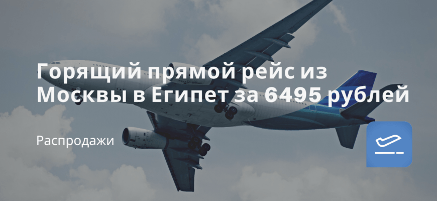 Горящий прямой рейс из Москвы в Египет за 6495 рублей - Чекинтайм