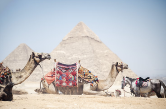 Горящие туры, из Регионов - Топ 5 предложений в лучшие отели Египта из Регионов!