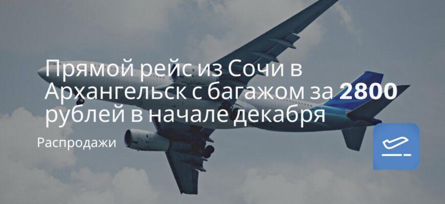 Новости - Прямой рейс из Сочи в Архангельск с багажом за 2800 рублей в начале декабря