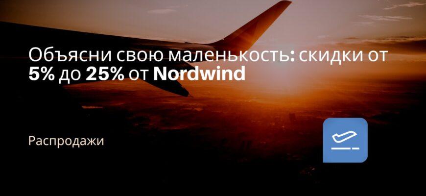 Новости - Объясни свою маленькость: скидки от 5% до 25% от Nordwind