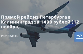 Новости - Прямой рейс из Петербурга в Калининград за 1499 рублей (12 ноября)
