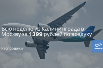 Новости - Всю неделю из Калининграда в Москву за 1399 рублей по воздуху